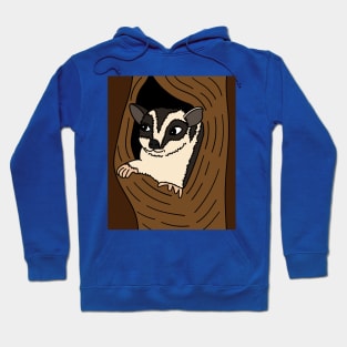 Possum Australia Raccoon Possum Hoodie